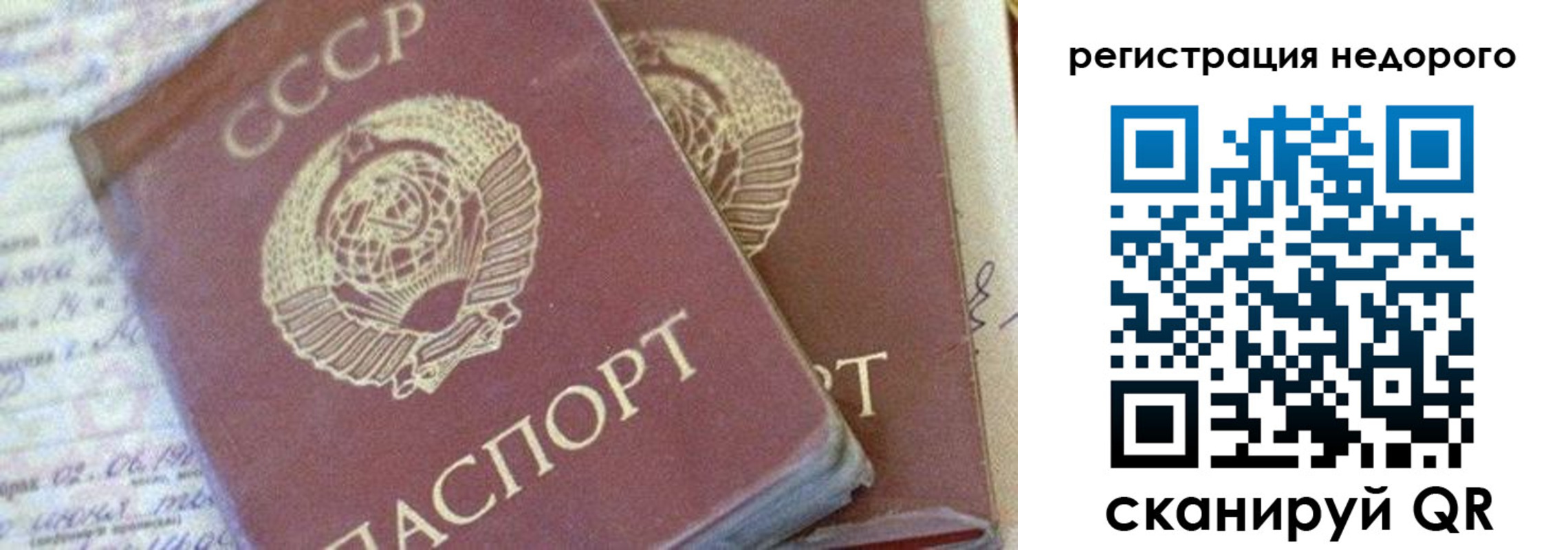 прописка для работы в Снежногорске